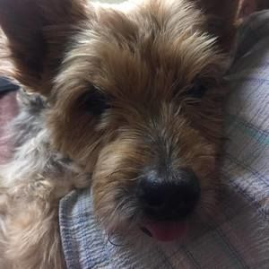 Meet your Posher, Barbara